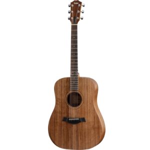 Taylor Academy 20e
