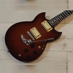 Yamaha SBG200 (SG-200)