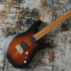 Eart Guitar EYP-Omni 24 Sunburst